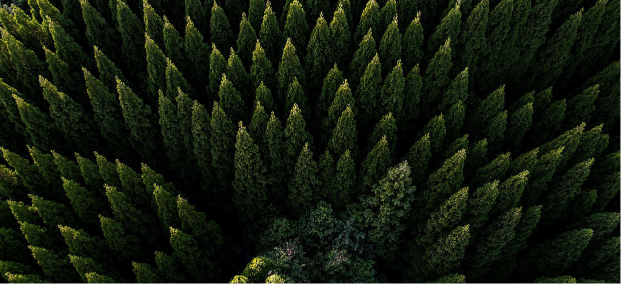 林火時間與地理分布